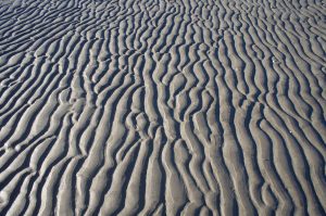 GPR_Beach Sand_Low-Tide_Vertical