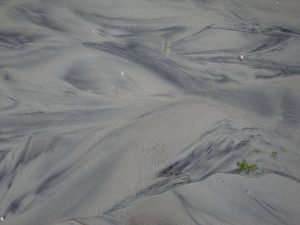 GPR_Beach Sand_Low-Tide_Painting