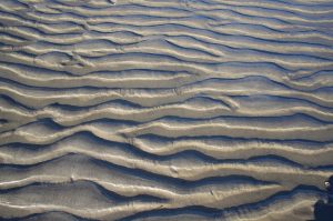 GPR_Beach Sand_Low-Tide_Horizontal